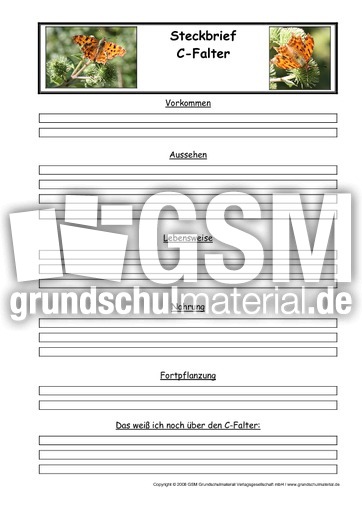 C-Falter-Steckbriefvorlage.pdf